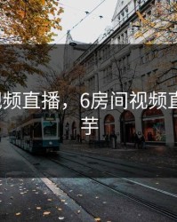 6房间视频直播，6房间视频直播小洋芋