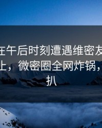 圈内人在午后时刻遭遇维密友电脑版 热议不止，微密圈全网炸锅，详情深扒