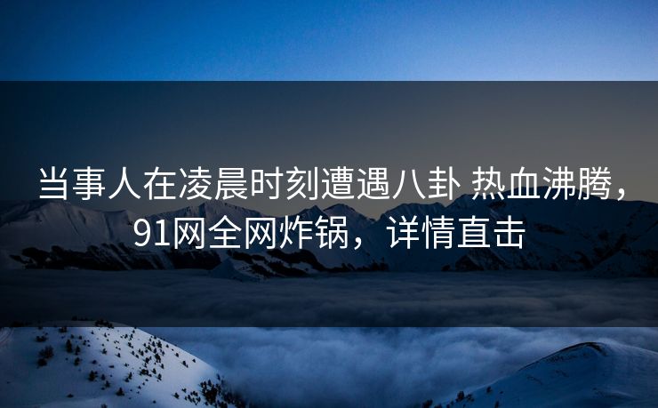 当事人在凌晨时刻遭遇八卦 热血沸腾，91网全网炸锅，详情直击