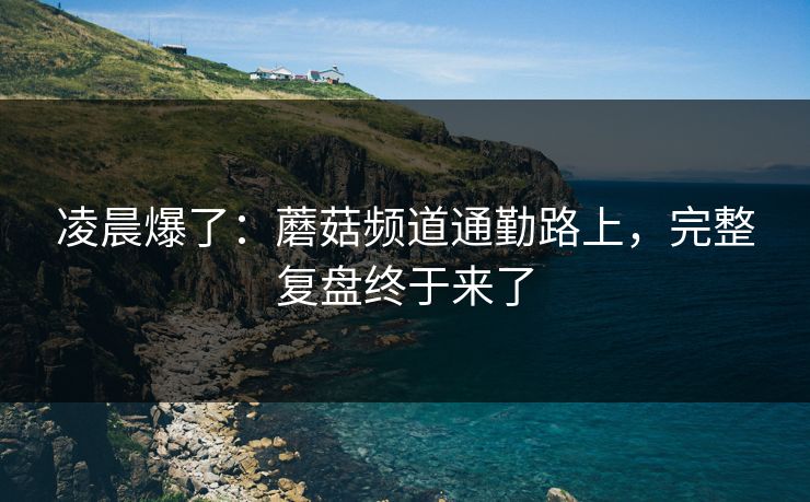 凌晨爆了：蘑菇频道通勤路上，完整复盘终于来了
