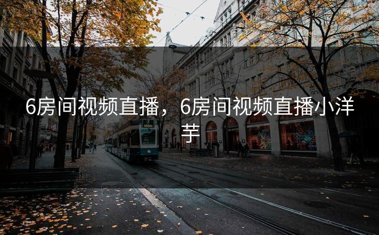 6房间视频直播，6房间视频直播小洋芋